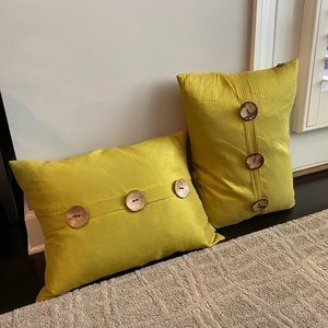 #1175 set of 2 Thro decorative feather pillows